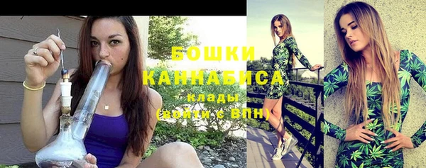 дурь Новодвинск