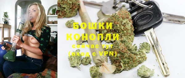стафф Новокубанск