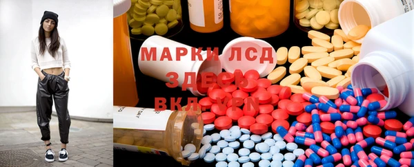 jwh Новозыбков