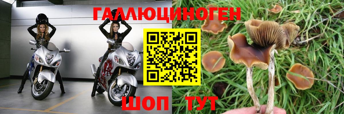 Псилоцибиновые грибы MAGIC MUSHROOMS Ртищево