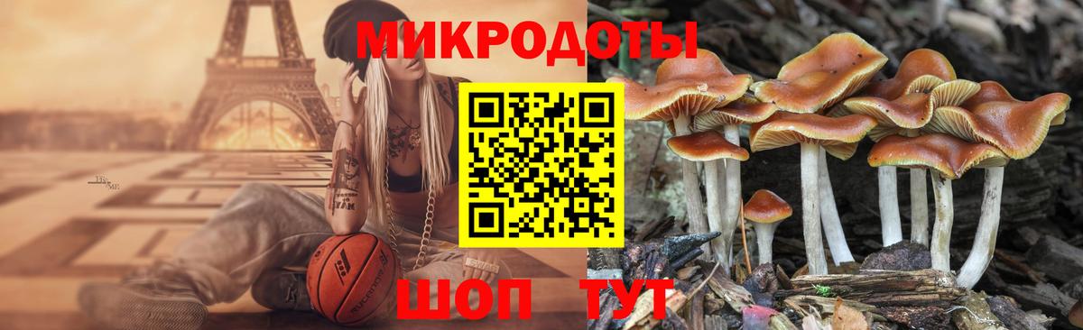 Псилоцибиновые грибы мицелий  Вход с VPN  Ртищево 